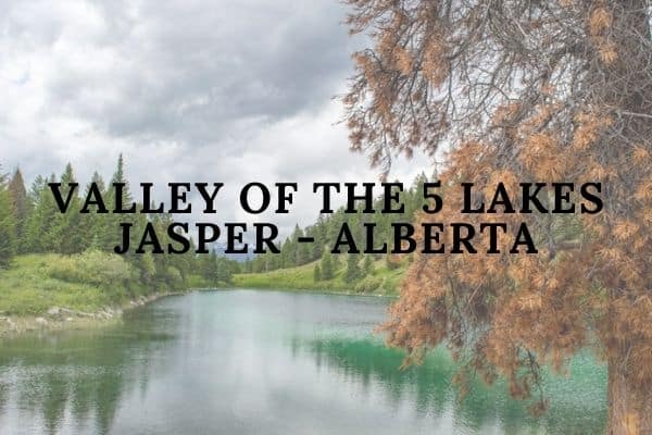 Easy Hiking Trail in Jasper